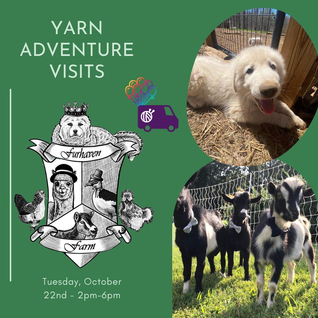 Yarn Adventure Visits Furhaven Farm