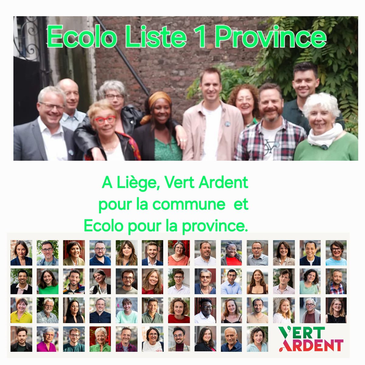 \u00c9lections \u00e0 Li\u00e8ge : Ecolo \u00e0 la Province et Vert Ardent \u00e0 la Commune 