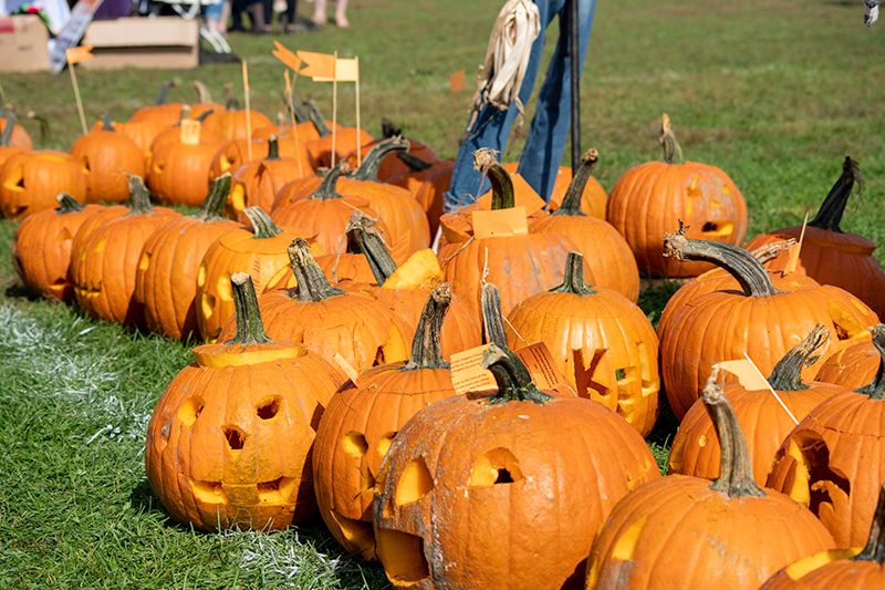 PumpkinFest 2025