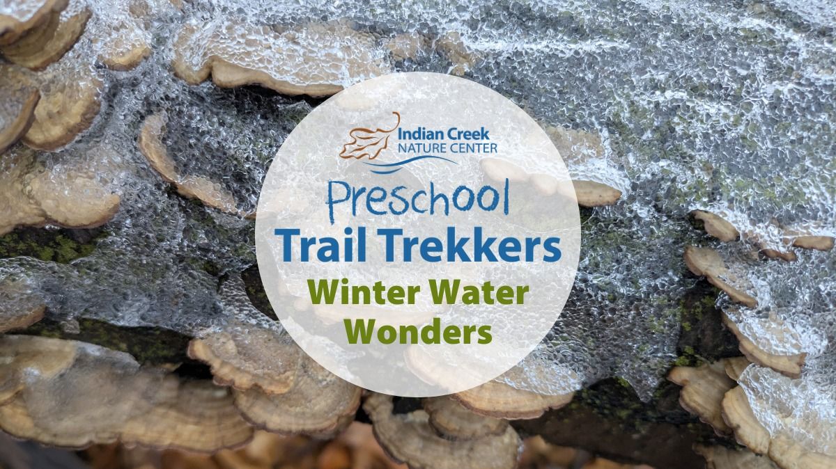 Trail Trekkers: Winter Water Wonders