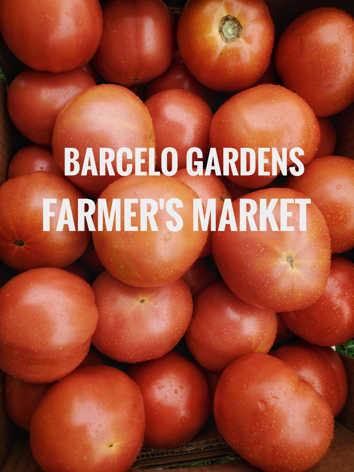 Barcelo Gardens Farmer's Market 