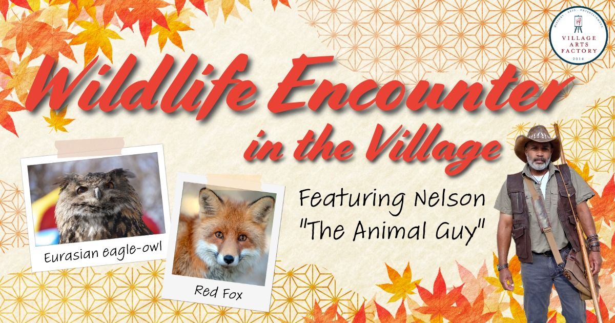 Wildlife Encounter in the Village for Kids!