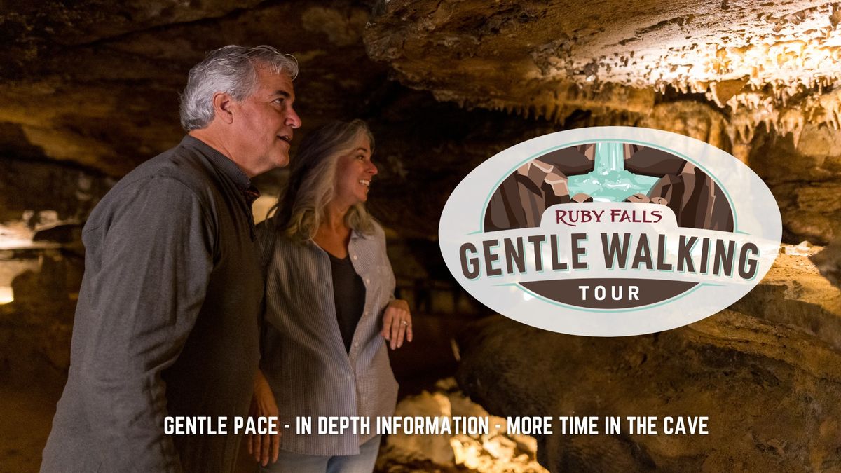 Gentle Walking Tour