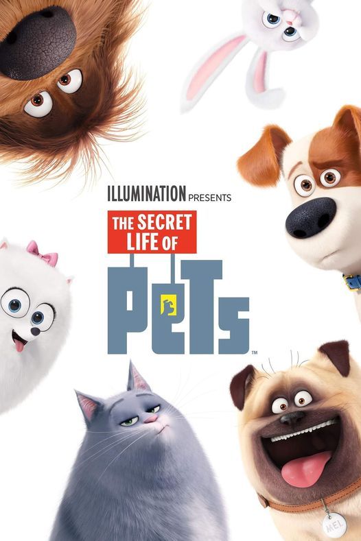 Secret Life of Pets for the Strays