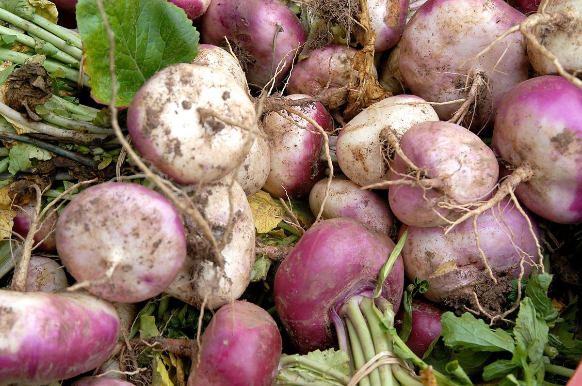 Perth Farmers' Market