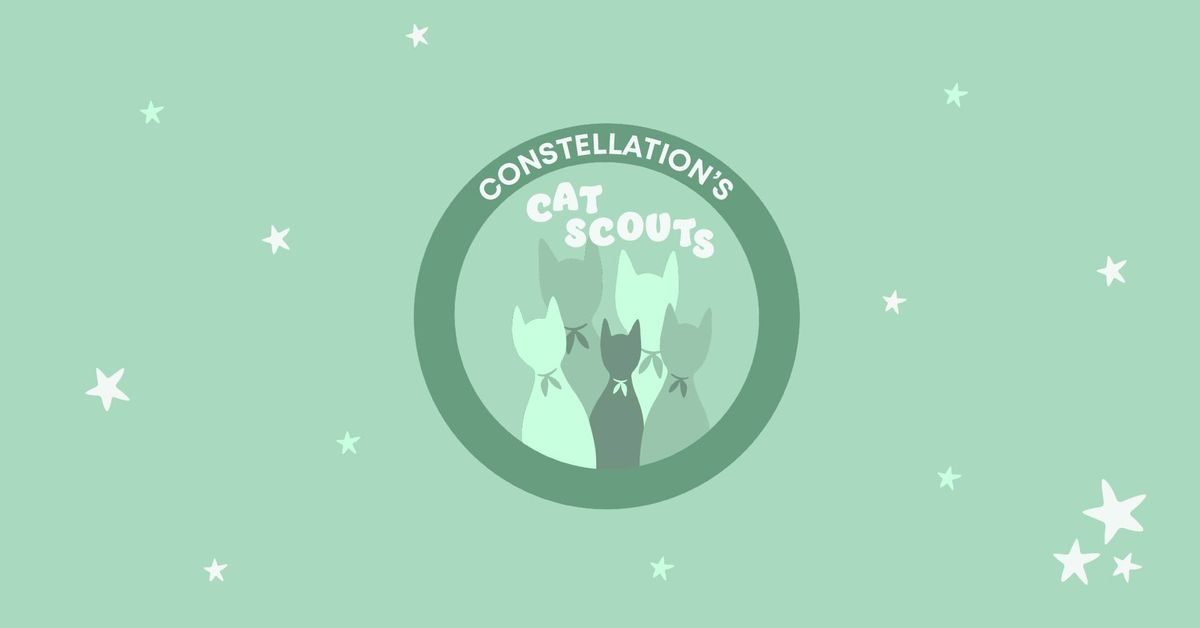 Constellation's Cat Scouts Camp (Ages 16-18)