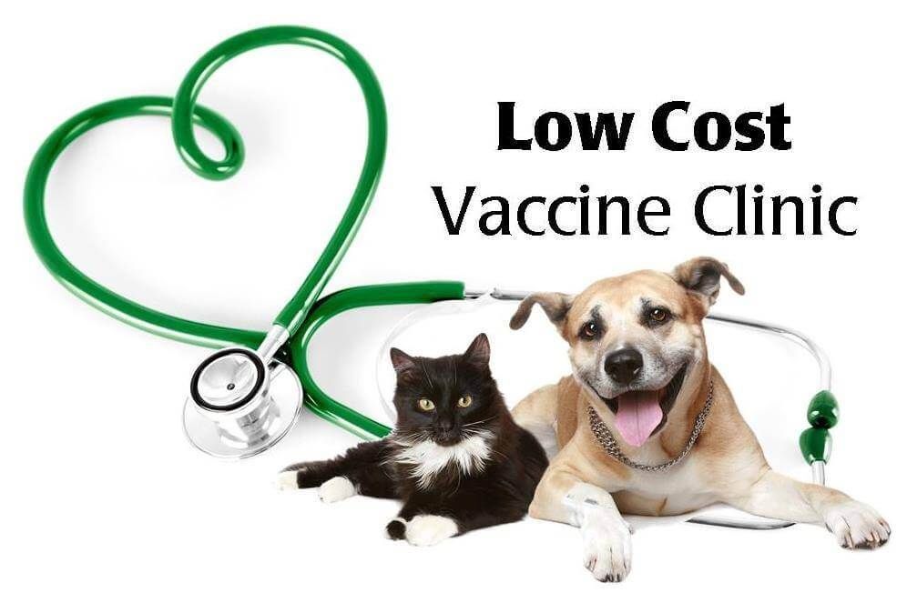 Low Cost Pet Vaccination Clinic