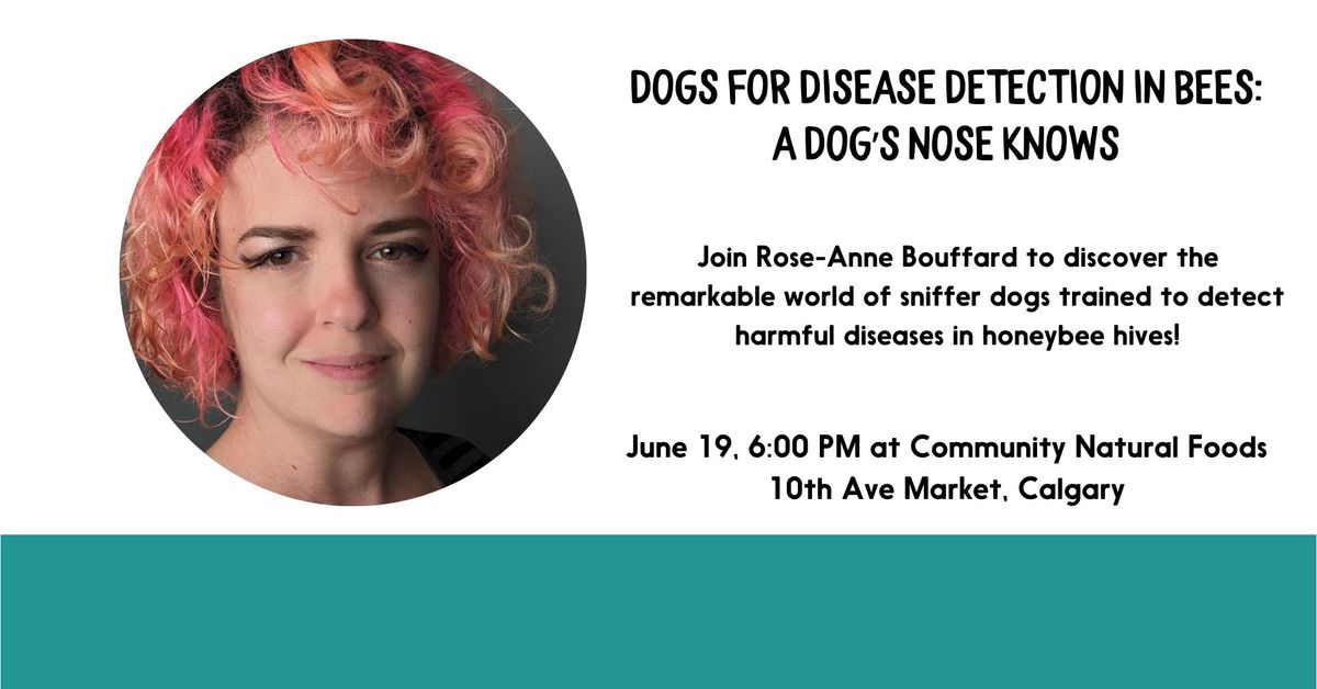 Dogs for Disease Detection in Bees: A Dog\u2019s Nose Knows