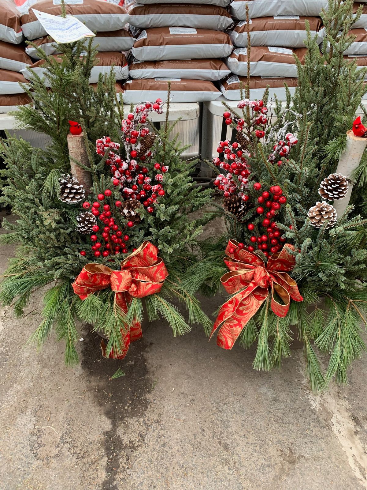 Spruce Top Potting Party!