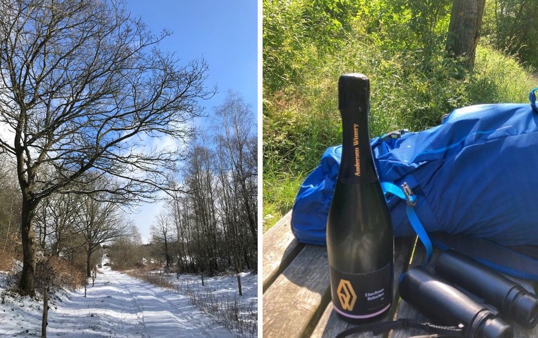 NYT\u00c5RSVANDRING OG BOBLER I MOLS BJERGE 7 KM - NATUR & VANDRING