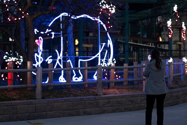 Meetup at Gift of Lights, Potawatomi Zoo