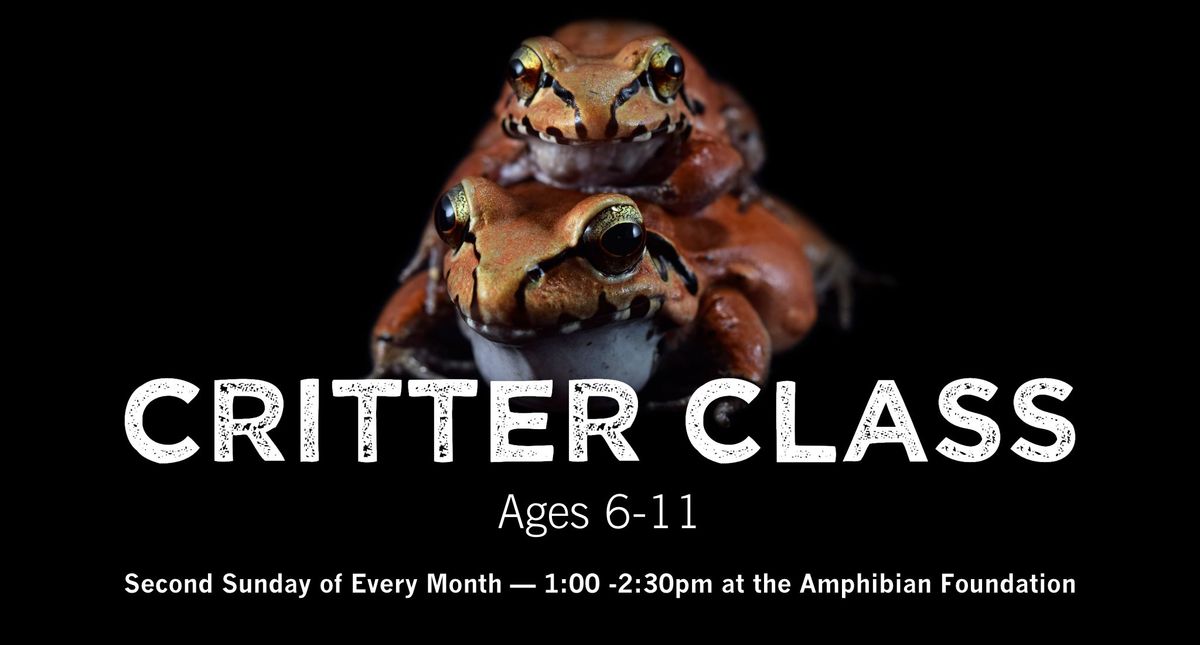 Critter Class - Ages 6-11