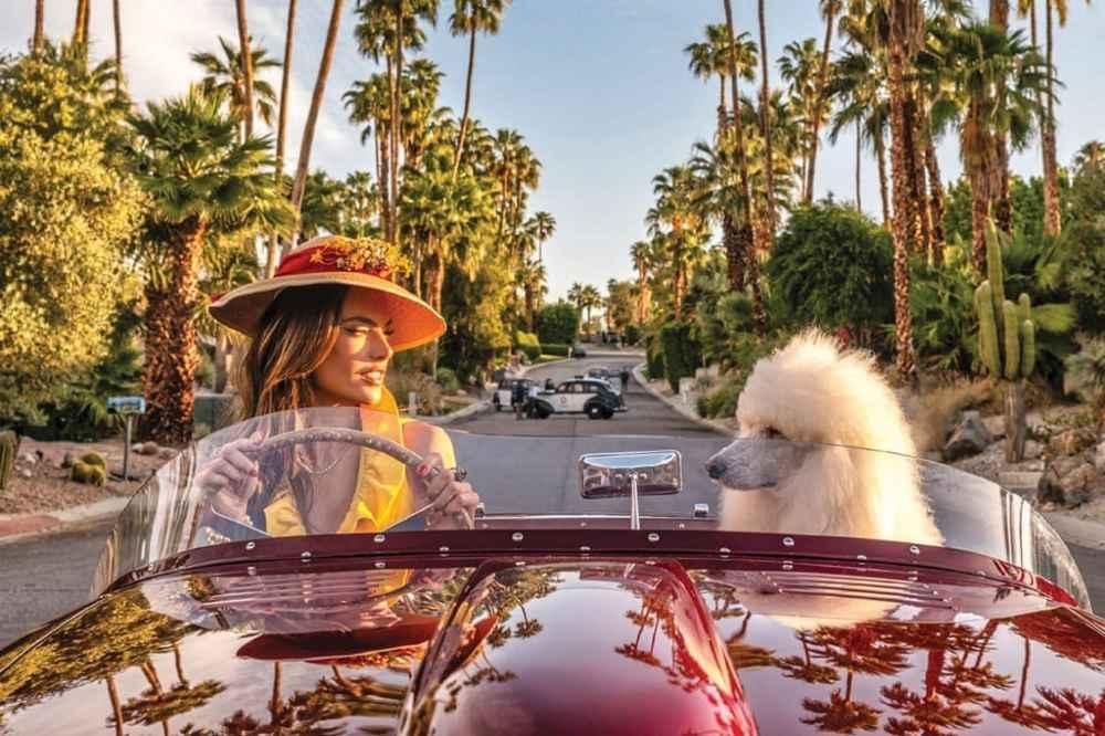 Standard Poodle Club and Rescue of the Desert Promenade