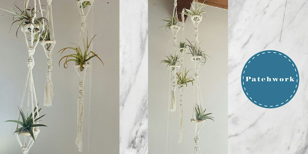 Patchwork Presents Macrame Air Plant  Wall Hanging Craft Workshop