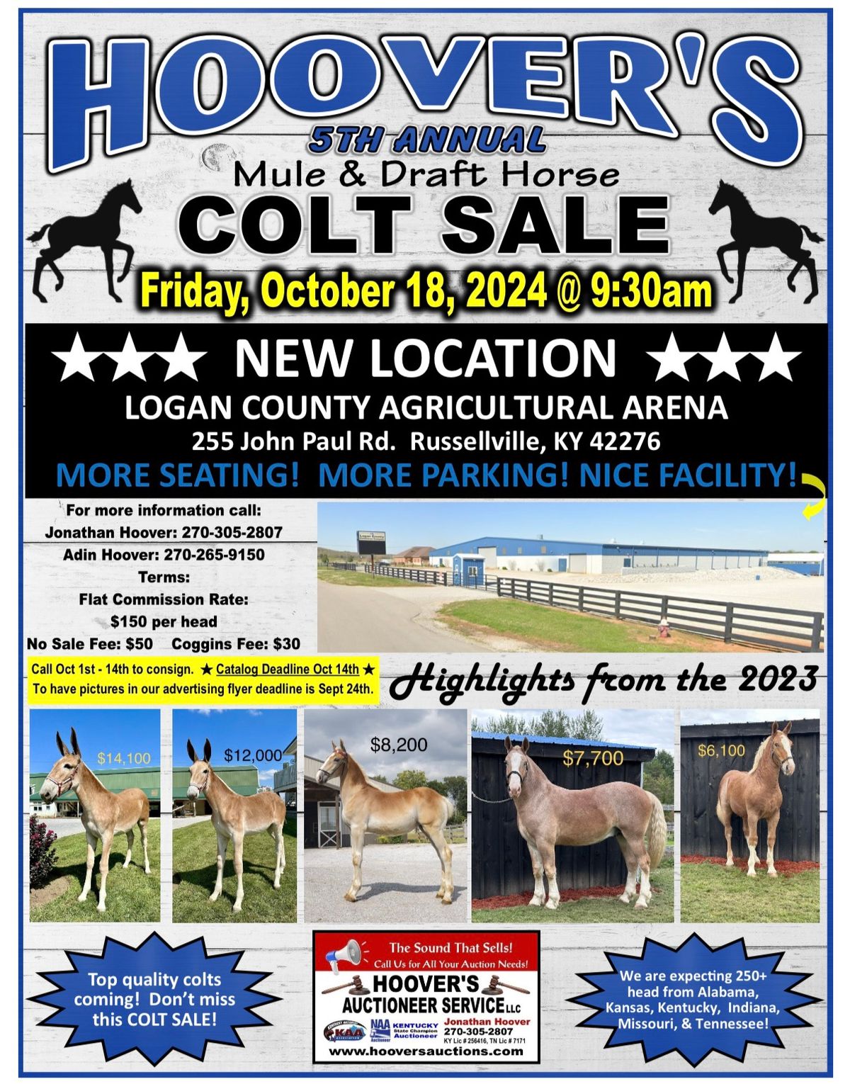 Hoover\u2019s 5th Annual Mule & Draft Horse Colt Sale