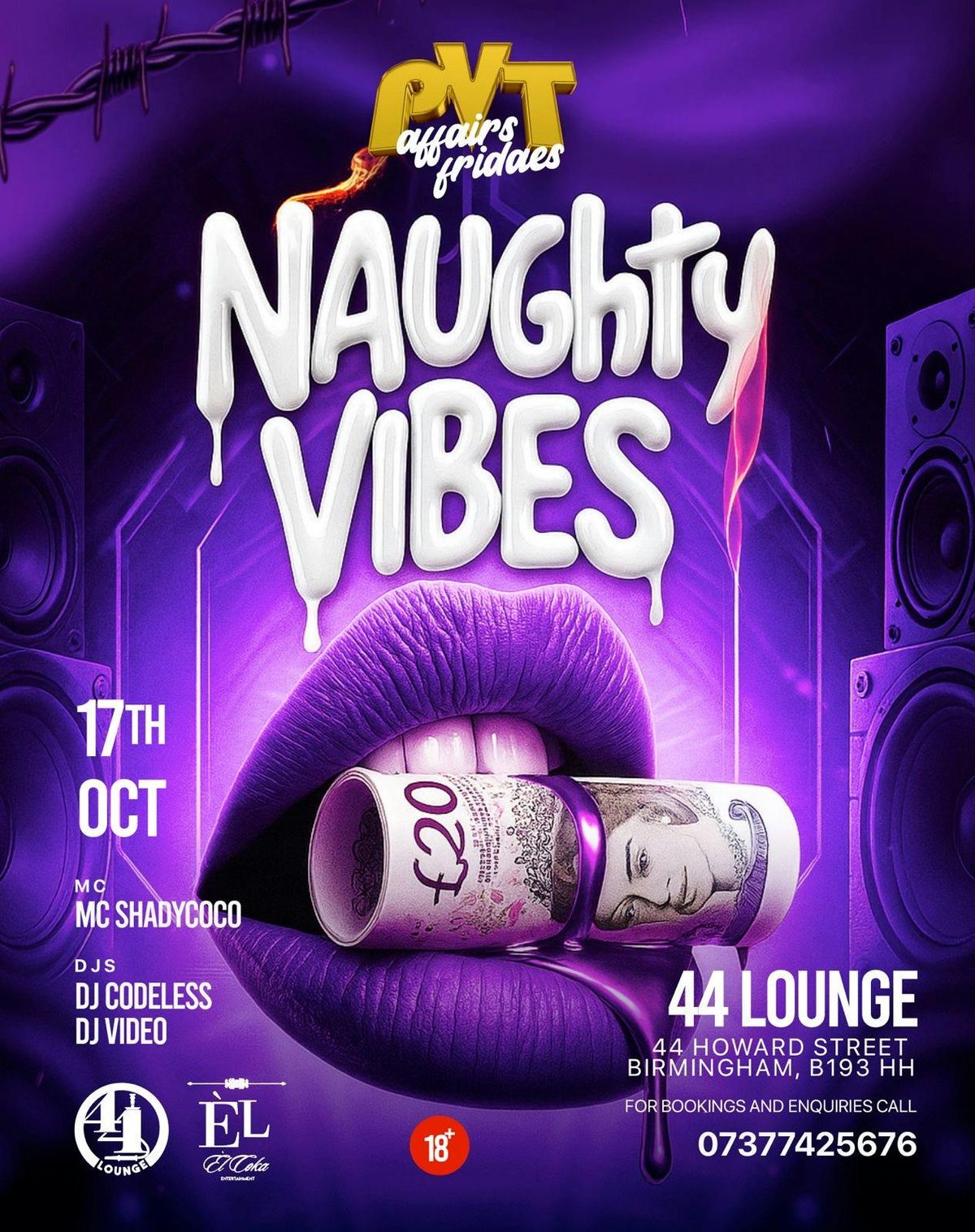 PVT Affairs | naughty vibes 