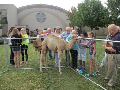 Jungle Island Petting Zoo