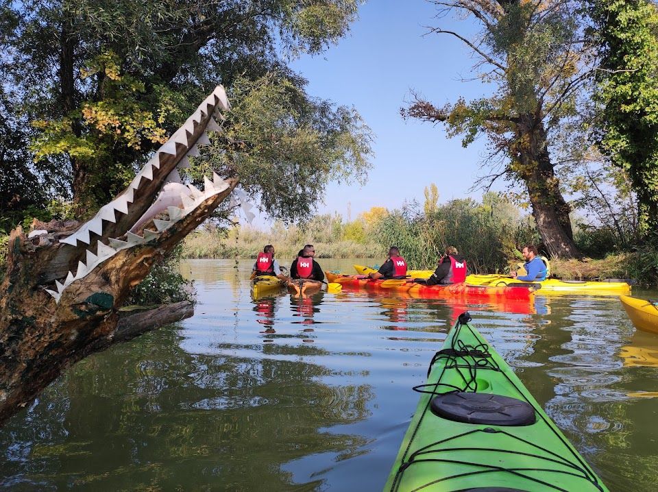 Dunaharaszti mesebeli sziget rendszere