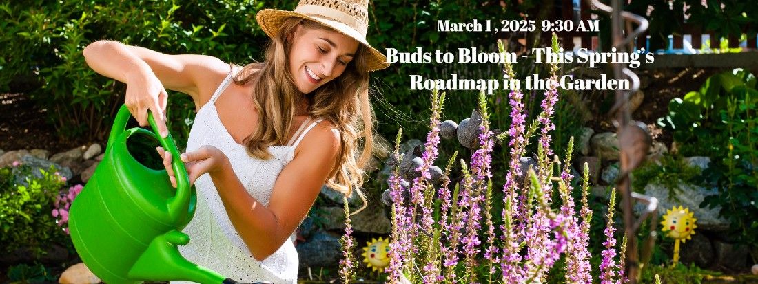 Buds to Bloom - This Spring\u2019s Roadmap in the Garden