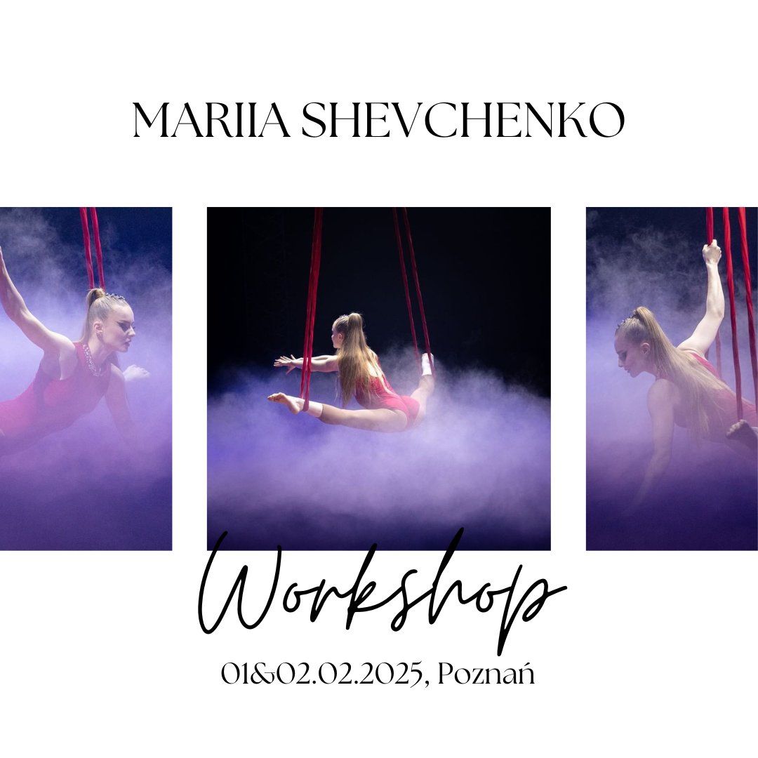 [Aerial Silks, Hoop, Hammock, Loops] Mariia Shevchenko