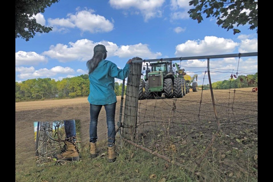 She Won't Come in From the Fields - Dinner Theatre