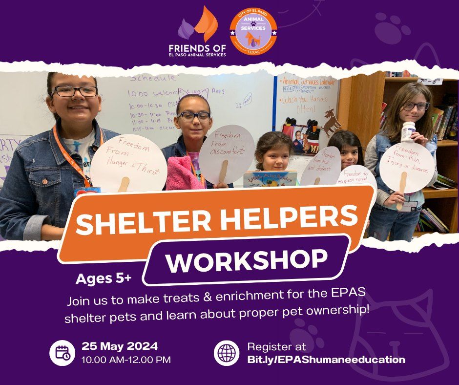 Shelter Helpers Workshop