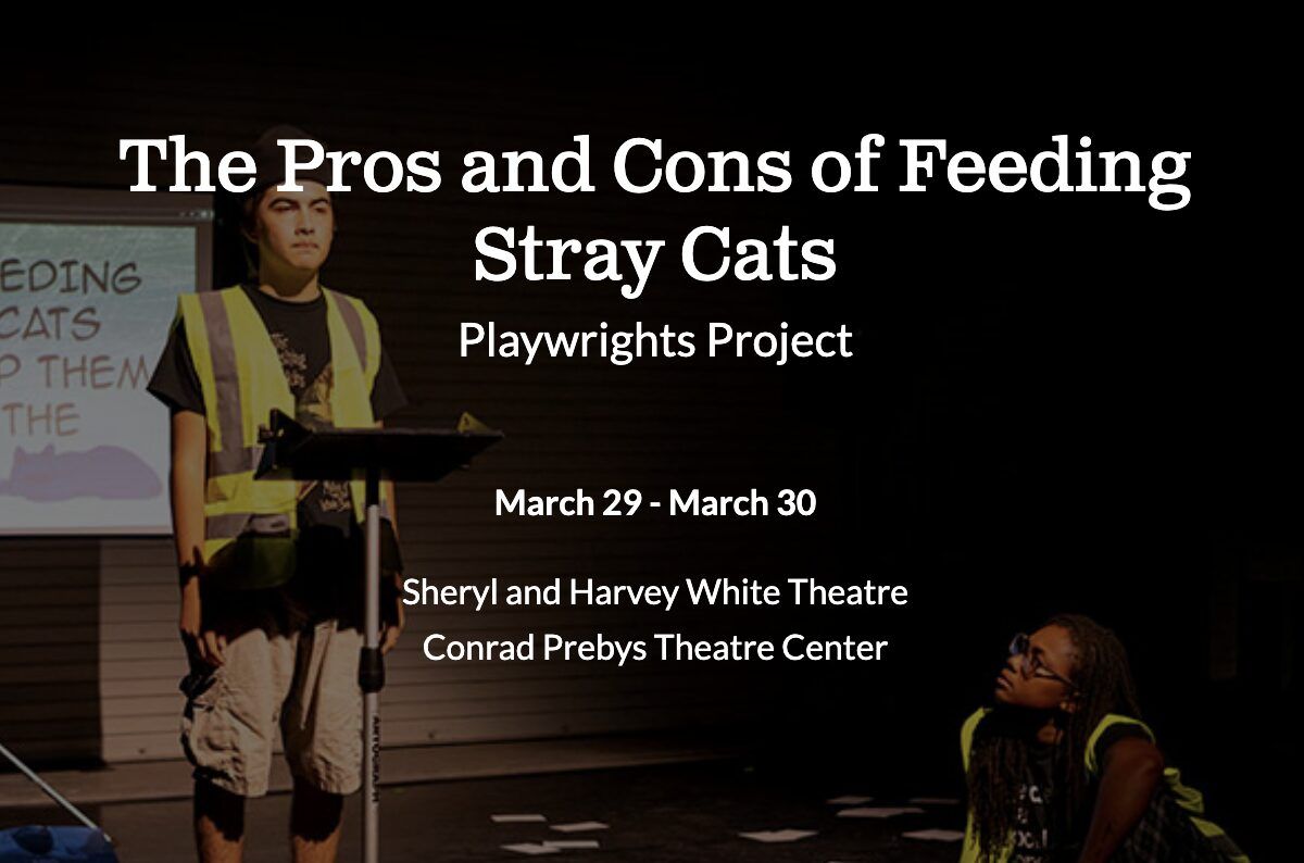 Parking Stray Cats