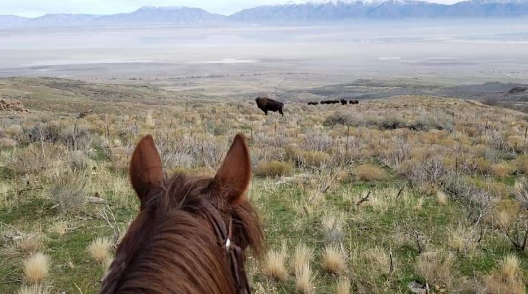 November Social Ride Antelope Island