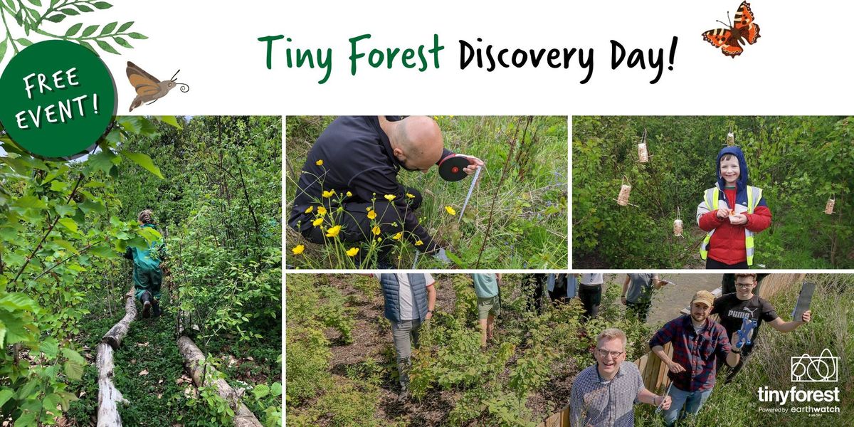 Tiny Forest Community Event: Frank Banfield Park, London