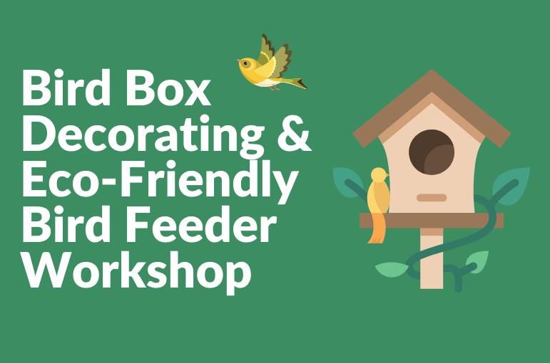 Bird Box Decorating & Eco-Friendly Bird Feeder Workshop