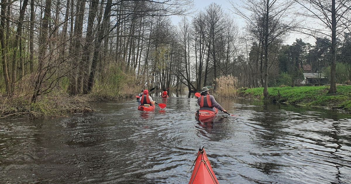 Prut. Narew. Drwa\u0142y - Dzier\u017cenin 