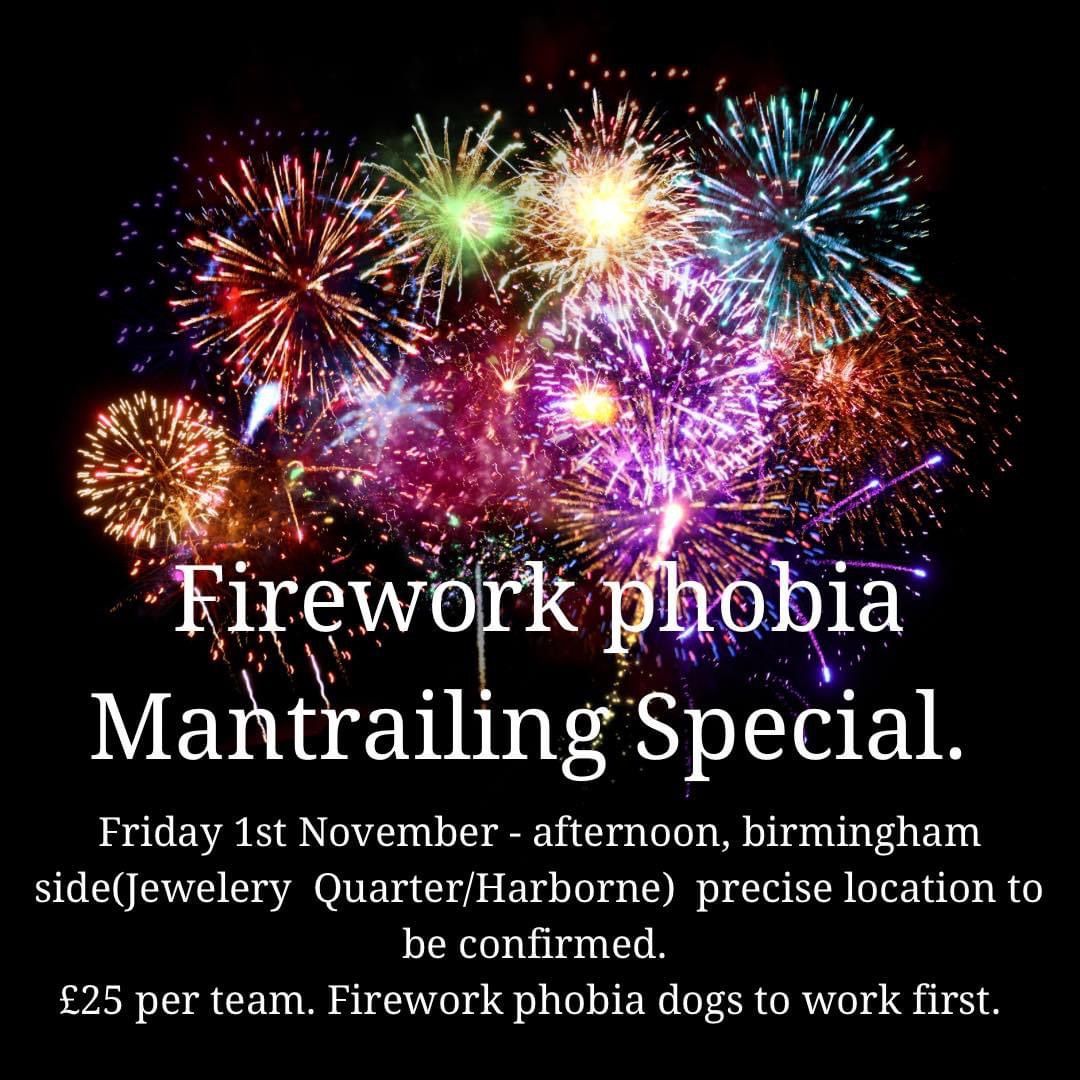 Firework phobia Mantrailing Progression - Harborne, Birmingham  