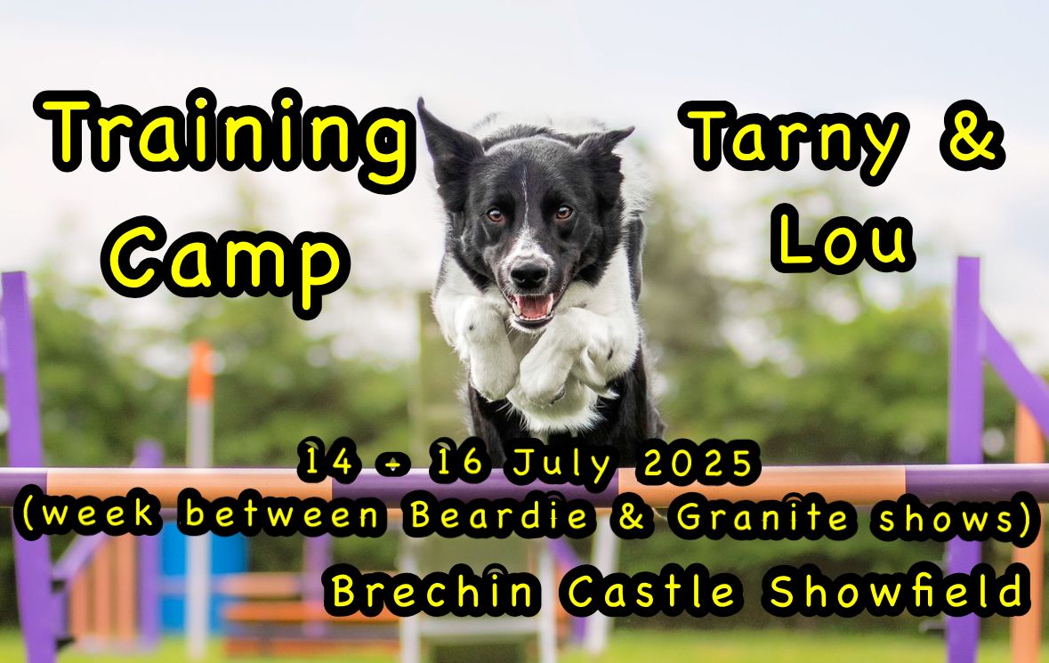 Tarny & Lou Training Camp - Granite City DAC