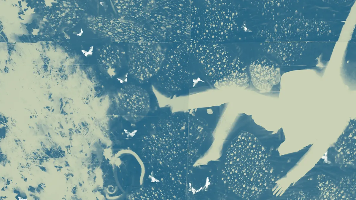 Iron &amp; Wine in Sydney