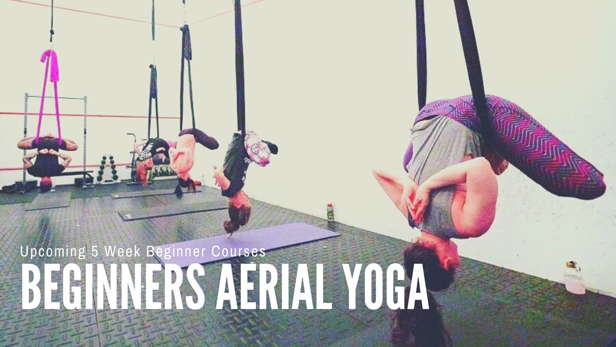 Aerial Yoga Beginners Course