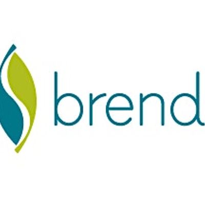 Brendle Group