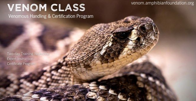 Venomous Training & Certification Workshop 