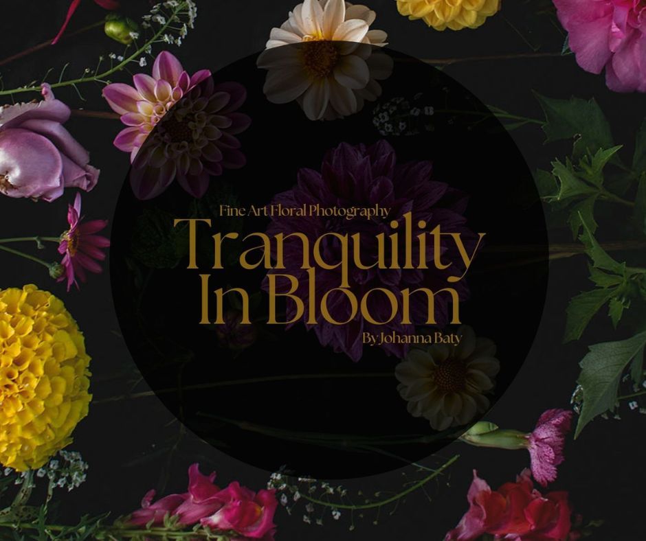 Tranquility In Bloom by Johanna Baty - Art Exhibition - Opening night