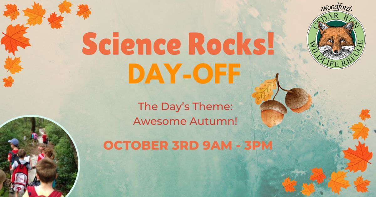 Science Rocks! Day-off