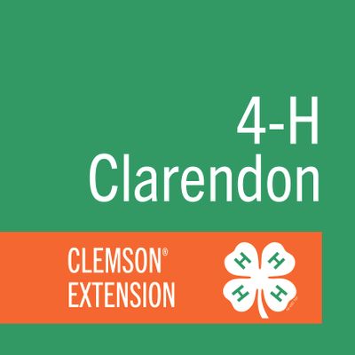 Clarendon County 4-H