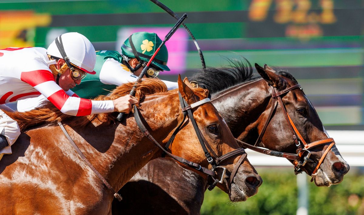 Opening Day Bing Crosby Season | Del Mar Racetrack