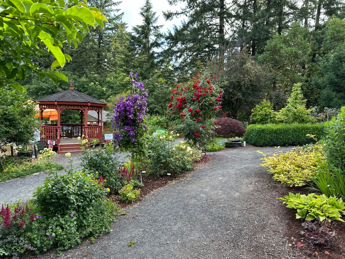 Pruning Perennials *