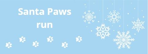 Santa Paws run