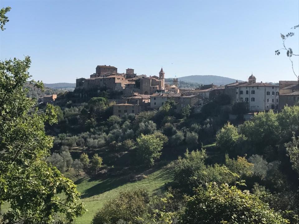 Retreat to Tuscany - Fall Harvest in the Tuscan Hills