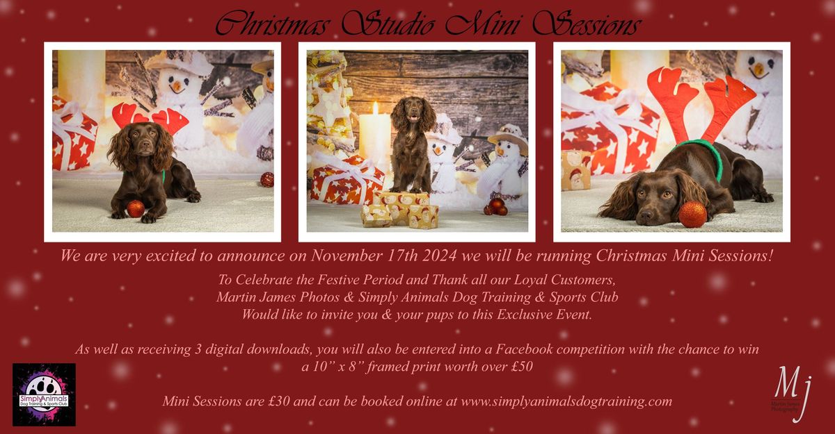 Christmas Studio Mini Sessions 