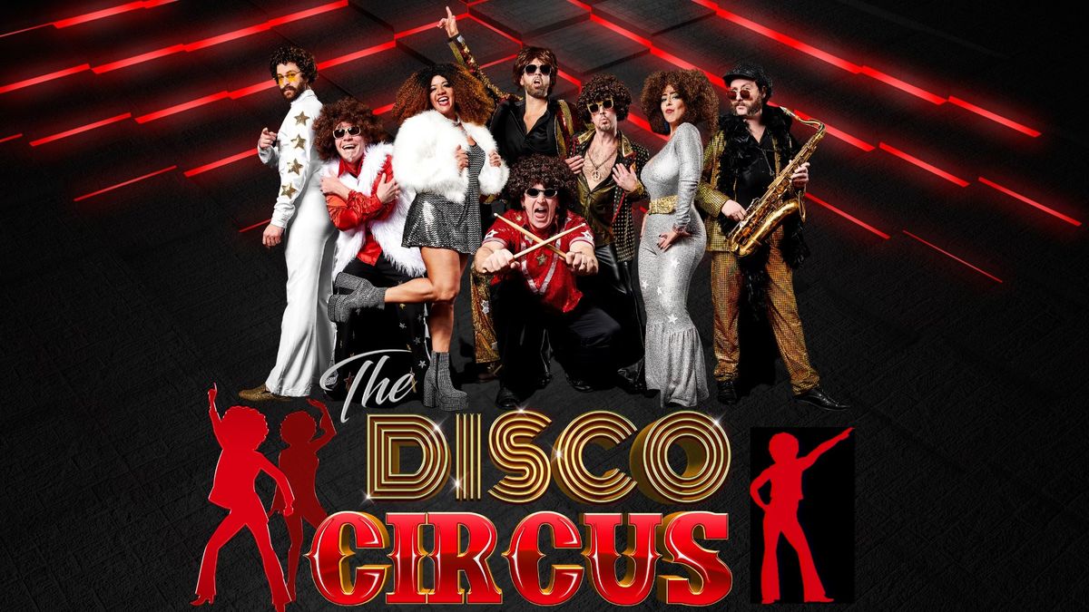 THE DISCO CIRCUS at Fishel Park in Downers Grove!
