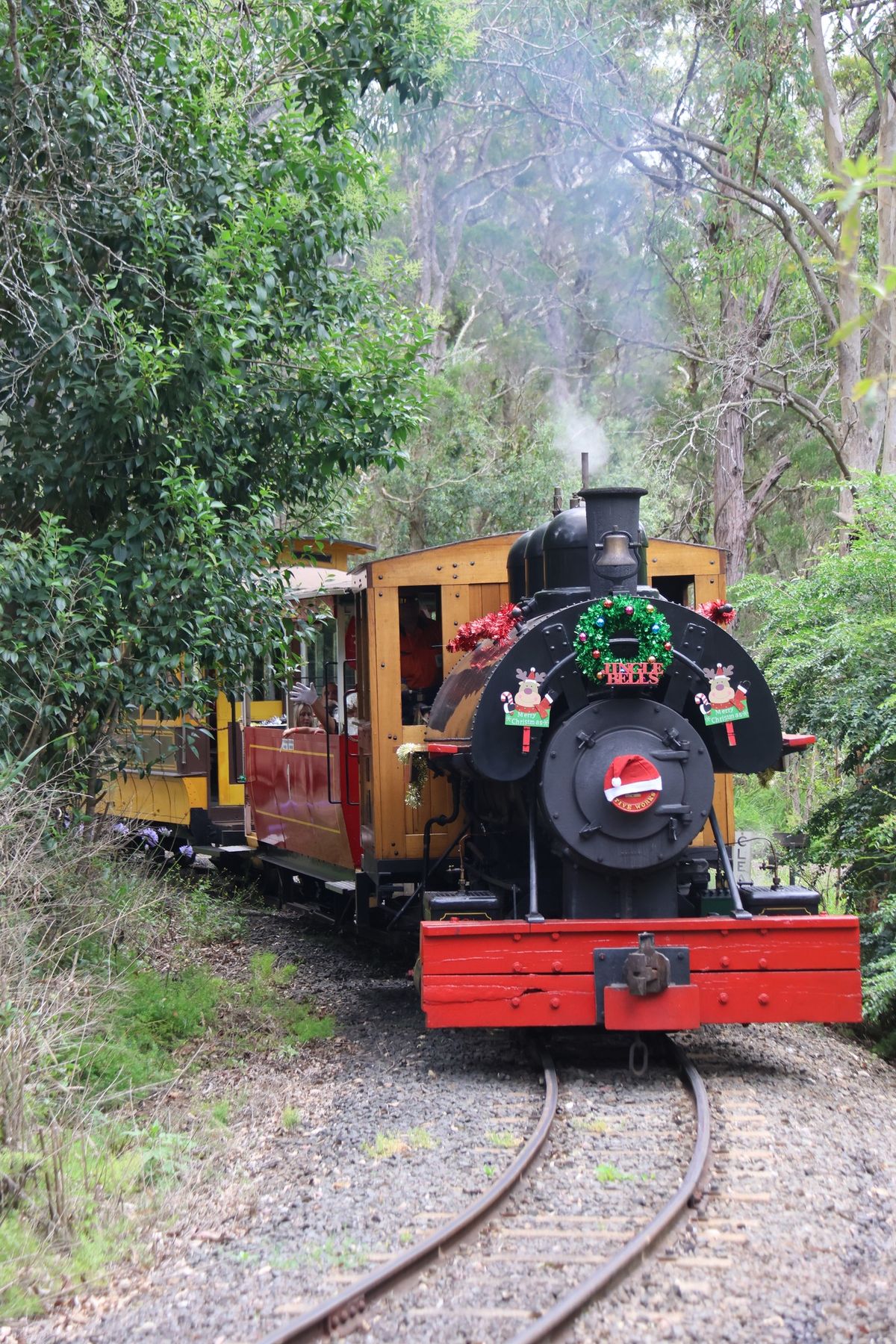 Ride The Christmas Train