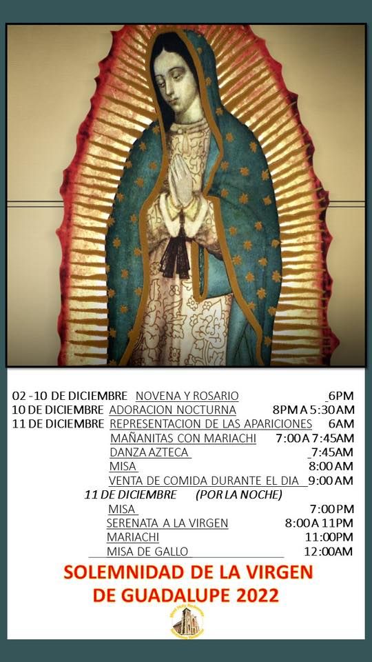 Fiesta  de la Virgen de Guadalupe