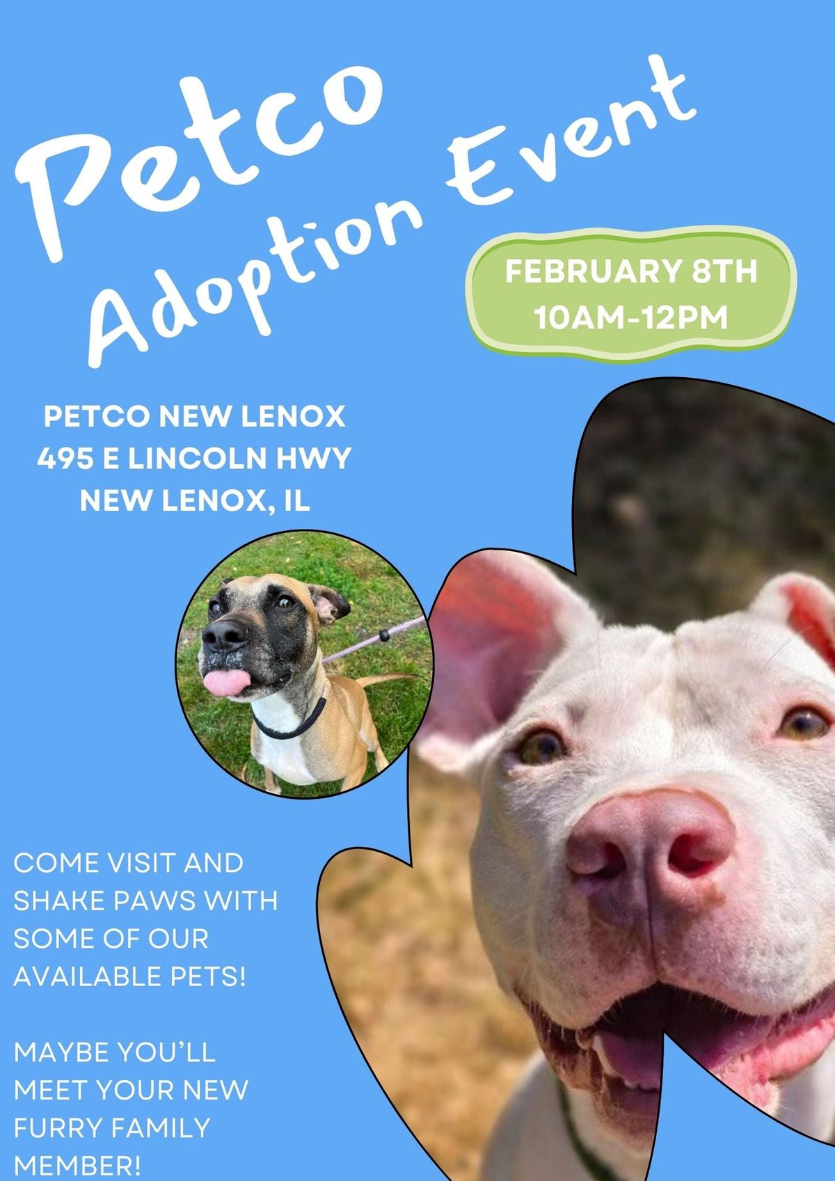 Petco Adoption Event!