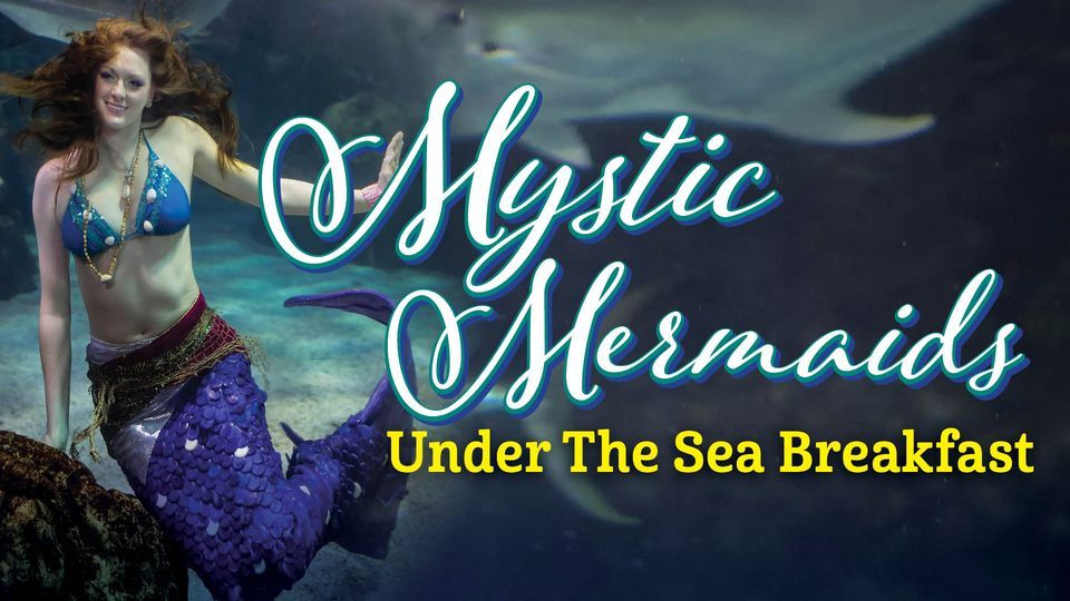 Mystic Mermaid Under the Sea Breakfast